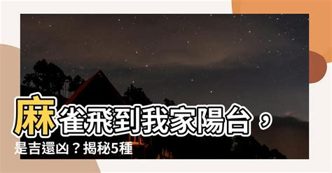 麻雀飛進家裡號碼|【家裡飛進麻雀】家裡飛進麻雀的吉凶預兆：小心謹慎，福禍難測。